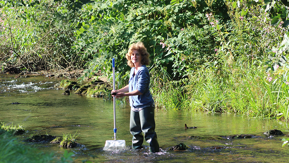 Biologin bei der Probenahme im Fluss